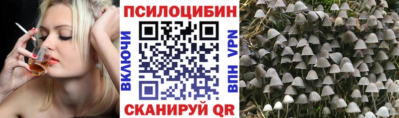 Купить где Аткарск Псилоцибиновые грибы прущие грибы
