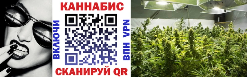 Каннабис Bruce Banner  Купить закладки  Аткарск 